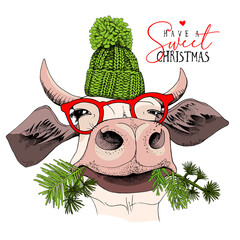 Cute cow in a green knitted hat, in a red glasses and with a coniferous branches. Christmas and New year card, Humor composition, hand drawn style print. Vector illustration.