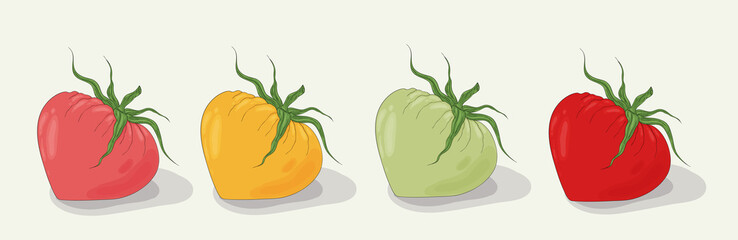 Color tomato set. Closeup. Yellow, green, pink, red tomato. Organic fresh vegetables.