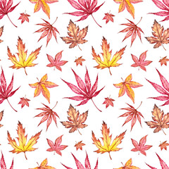 Seamless pattern with japanese maple leaves.