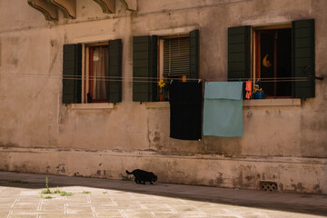Only black cat on the street in  the Cannaregio district in Venice, Italy.