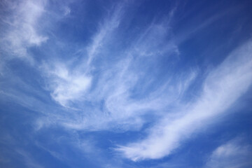 Blue sky and clouds on a sunny day in the morning for the background


