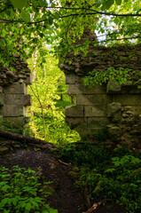 Ruins in forest woods area. Old abandoned mystery walls, gate, path between. Building used to be paper mill. Czartowe pole nature reserve, Poland, Europe.