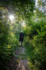 Obraz premium Hiking on a trail at the Feldberger Seenlandschaft.