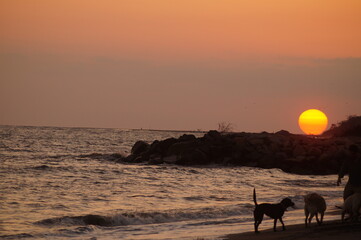 Playa 3