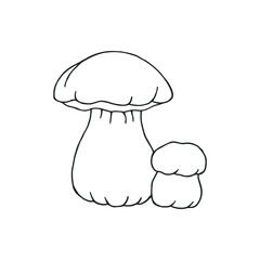 Porcini. Vector stock illustration eps 10. Outline. Hand drawing