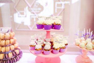 delicious candy bar with various sweets. cake pops, cupcakes, macaroons and others