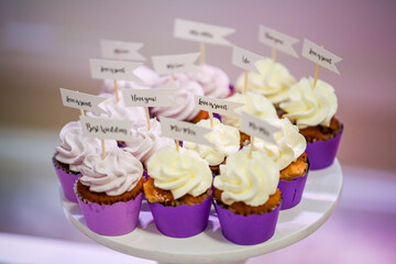 delicious candy bar with various sweets. cake pops, cupcakes, macaroons and others