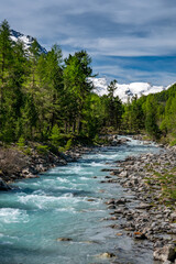 Wildbach im naturbelassenen Val Roseg, Engadin