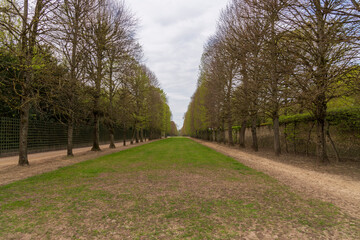 Fototapeta na wymiar Park Gardens. Dating back from Louis XIII, this garden was projected and perfected by Andre Le Notre.
