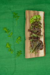 Composition of red and green lettuce on a log and green canvas. Vertical image.