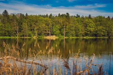 Beautiful  countryside in the summer