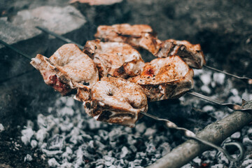 cooking juicy pork skewers in nature