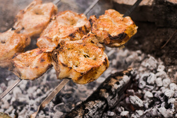 cooking juicy pork skewers in nature