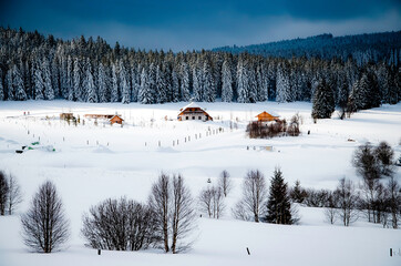 Winter wooden houses and winter forest