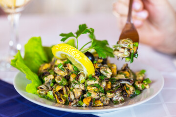 fresh grilled mussels with herbs and lemon on white plate, selective focus. As backdrop for menus, cookbooks, advertisements and other culinary projects
