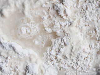 Wheat flour mix with water