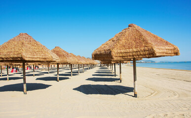 beach with umbrellas in the summer
