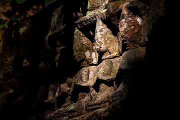 Filtered sunlight illuminates a series of bas-relief statues at Bayon Temple Angkor Wat Cambodia