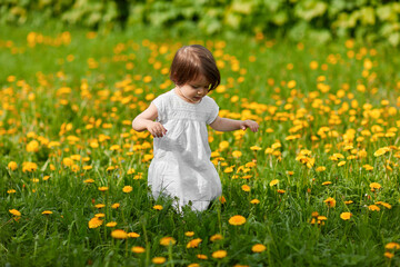 little girl on the meadow