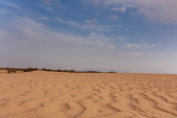 Fototapeta na wymiar Sand dunes in the desert in Tunisia.