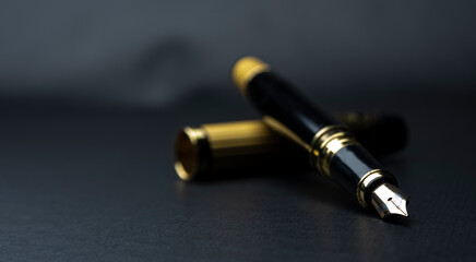 Beautiful fountain pen. under exposed photo on a black background