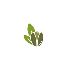 Argan nut green icon. beauty and cosmetics oil. Cosmetic ingredient carotene, carotin.