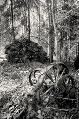 Old farming equipment in the forest in Southern Finland. Trees growing on old stone fence. 