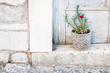 Fototapeta na wymiar old mediterranean house with flowers