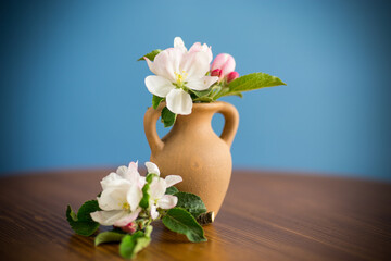 spring pink apple tree flowers in a clay vase
