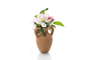 spring pink apple tree flowers in a clay vase
