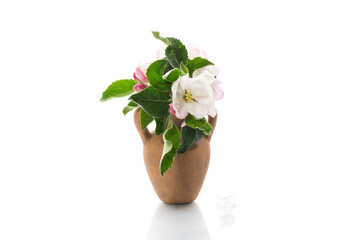 spring pink apple tree flowers in a clay vase