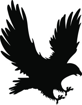 Download 515 Best Eagle Vector Images Stock Photos Vectors Adobe Stock