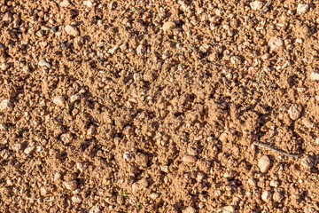 Clay ground soil with stones as background.