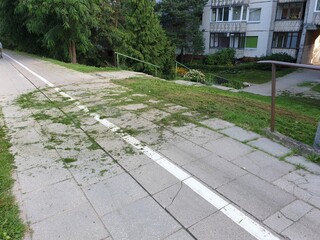 Pedestrian pavement full of grass after it was cut