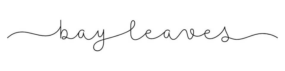 BAY LEAVES black vector monoline calligraphy banner with swashes