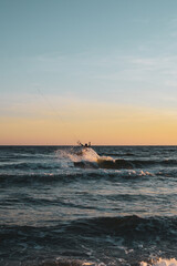 Fototapeta premium sunset in the sea