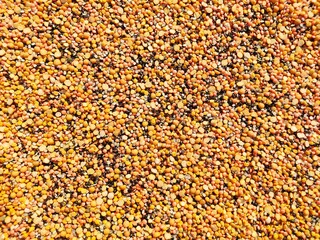 Mix dal beans Lentil,gram,pea background, Closeup , Selective focus.