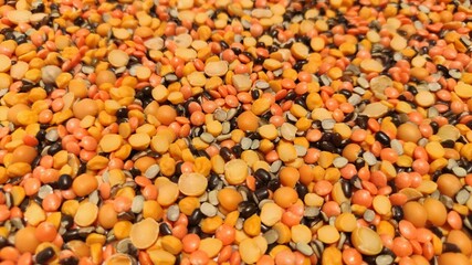 Mix dal beans Lentil,gram,pea background, Closeup , Selective focus.