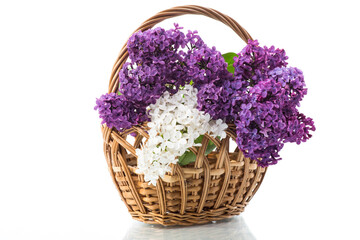 Fototapeta na wymiar bouquet of beautiful blooming lilacs in a basket