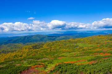 Beautiful autumn colors at  Mt. Asahidake, Hokkaido, Japan.