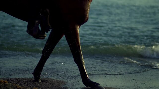 Horses running at the beach in Greece, close up on their legs