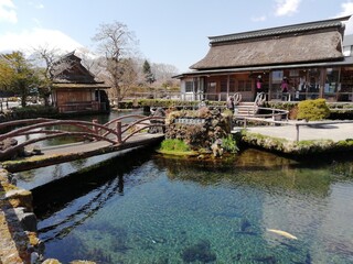 Obraz premium OSHINO HAKKAI