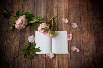 pink blooming peonies on a detailed blank notebook