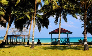 tropical beach with palm trees
