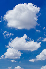 The sky is bright, full of white clouds.