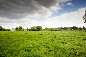 Fototapety na wymiar - Fototapeta24.pl