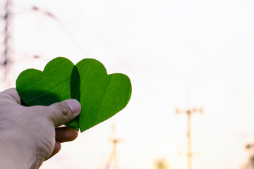 Green leaf of tree like heart shape with blur electricity pole background concept