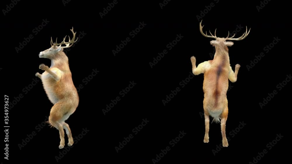 Poster deer dance cg fur 3d rendering animal realistic cgi vfx animation loop composition 3d mapping cartoo