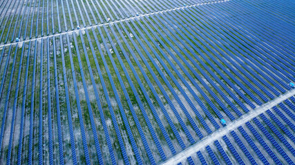 Background of solar pannels array as seen from above the modern static solar power station. Green...