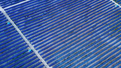 Background of solar pannels array as seen from above the modern static solar power station. Green...